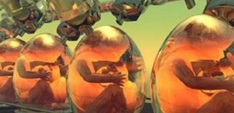 Les racines idéologiques du projet de loi de bioéthique