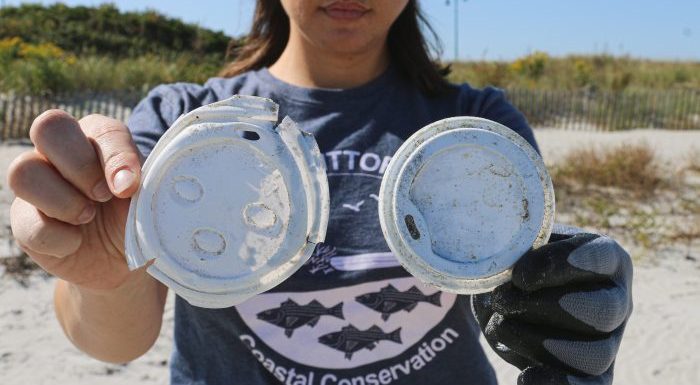 Une mairie coréenne jette une tonne de déchets sur une plage pour que les écologistes aient quelque chose à ramasser