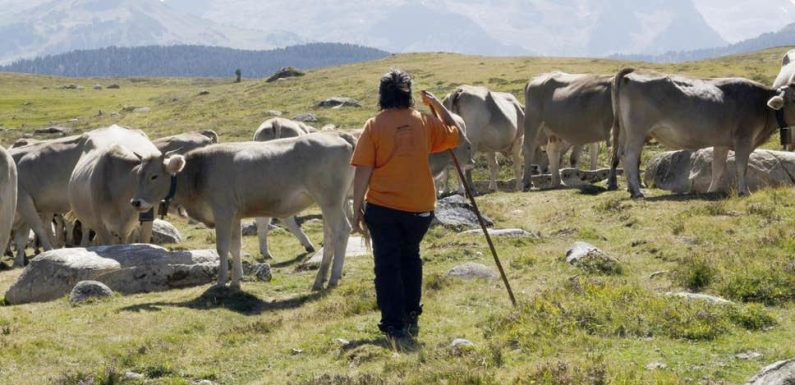 Meet the pioneering women farmers saving the Catalan Pyrenees from climate change