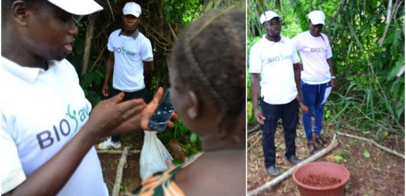 En Côte d’Ivoire, une application pour que les agriculteurs fabriquent leur propre engrais bio