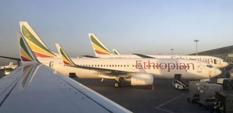 VIDEO. Le crash du Boeing 737 MAX 8 d’Ethiopian Airlines reconstitué en 3D