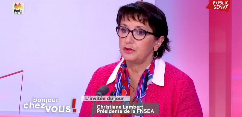 Agribashing : « Il y a des agriculteurs menacés avec une carabine quand ils sèment du blé » alerte Christiane Lambert