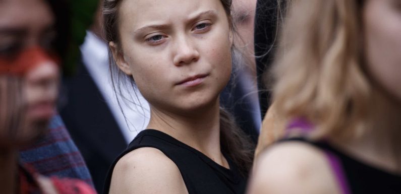 Misogyny, male rage and the words men use to describe Greta Thunberg