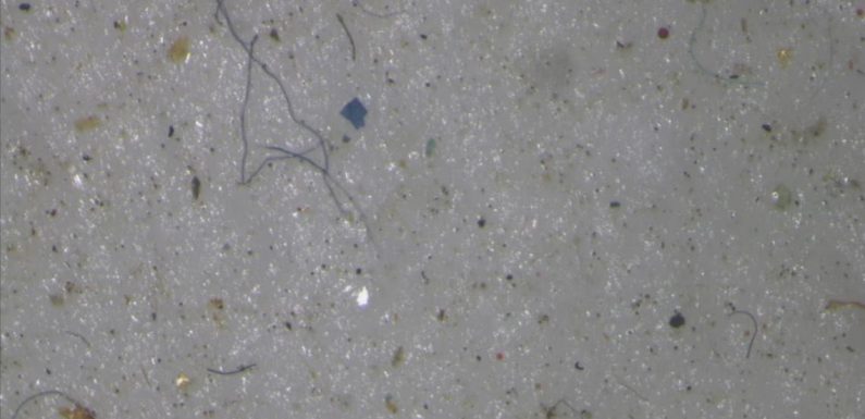 Les pneus de voiture, premiers pollueurs des eaux par le plastique