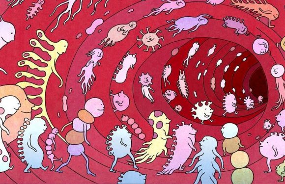 Microbiote: un écosystème fragile à préserver