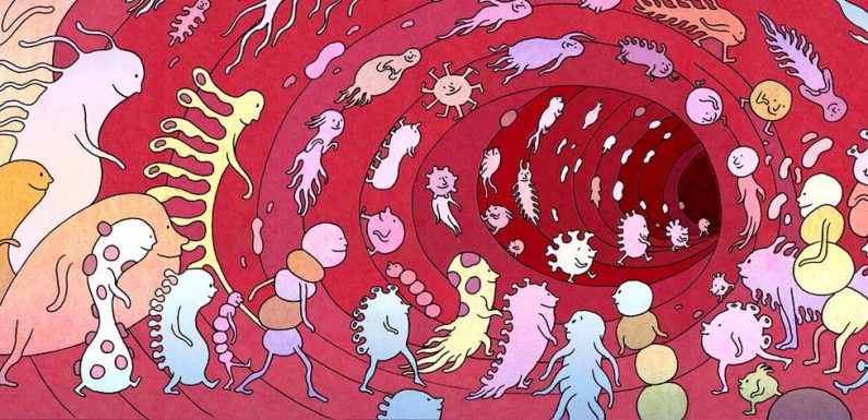 Microbiote: un écosystème fragile à préserver