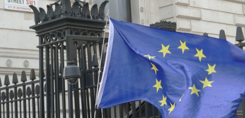 L’échec de Sylvie Goulard : l’arrogance de Macron sanctionnée