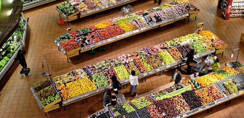 L&rsquo;environnement devient la première préoccupation des Français, et ça change leur manière de consommer