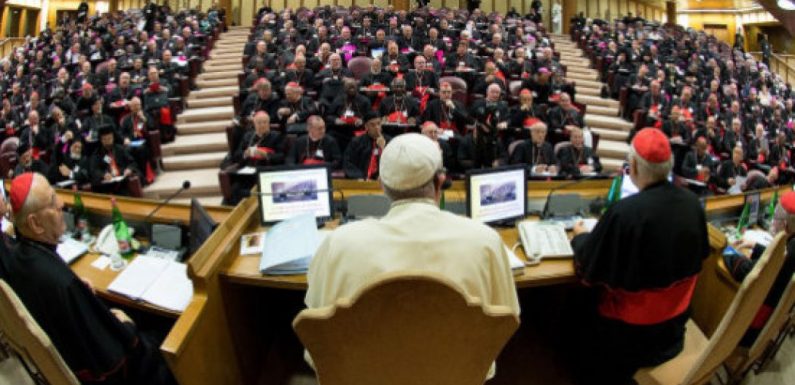 Journal d’un père synodal