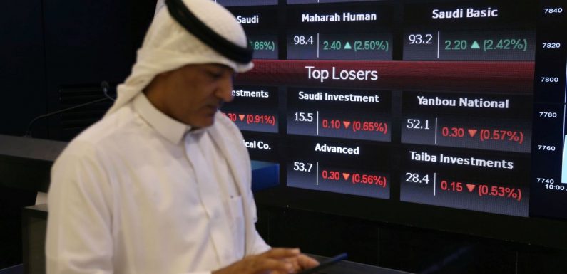 Saudi Exchange Readies Aramco IPO. Investors Raise Concerns.