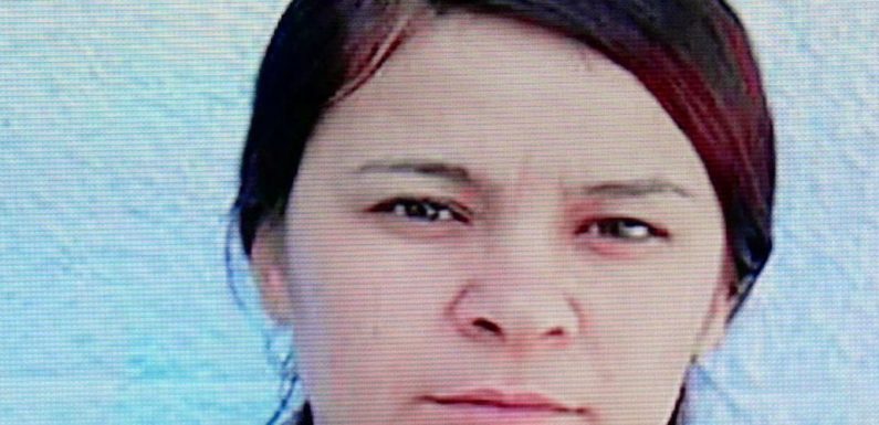 Syrie/Kurdistan : «Envoyez-nous une force internationale pour nous sauver du génocide»