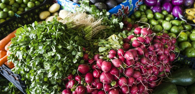 Près d&rsquo;un tiers de la nourriture produite est perdue : la FAO appelle à arrêter le gaspillage alimentaire