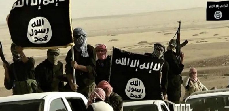 Affrontements entre Turcs et Kurdes : Plus de 10.000 combattants de Daech pourraient reprendre du service