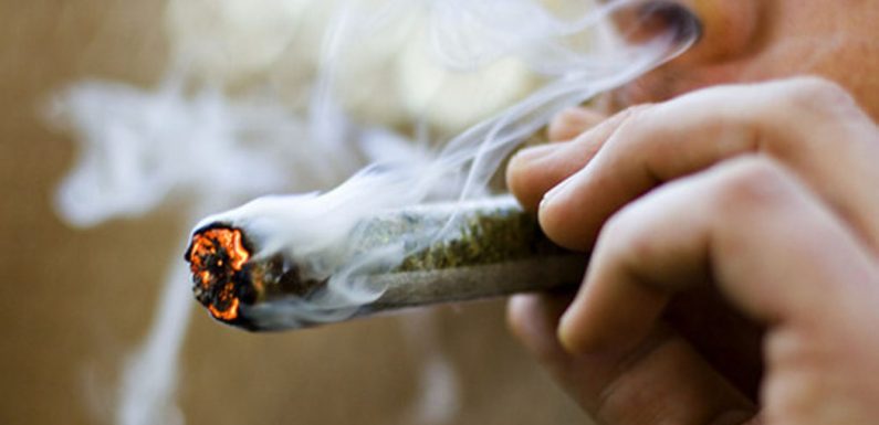 L’Assemblée nationale légalise le cannabis