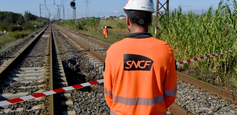 SNCF : cet accident de TER avec deux vache qui nous en dit long sur l’état du réseau ferré régional
