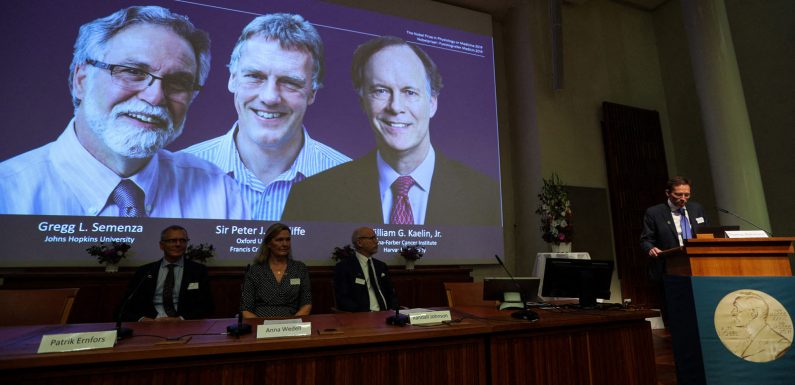 Nobel de médecine : comment les découvertes des lauréats pourraient faire avancer la lutte contre le cancer