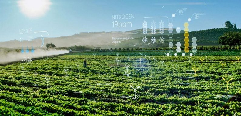 Microsoft investit 1,5 millions de dollars dans une « ferme futuriste » aux États-Unis