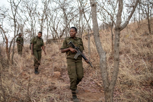 Au Zimbabwe, des unités 100% féminines en première ligne de la lutte anti-braconnage