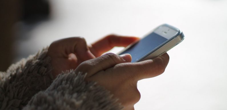 TikTok a dû supprimer des comptes avec lesquels l’EI tentait de recruter des membres
