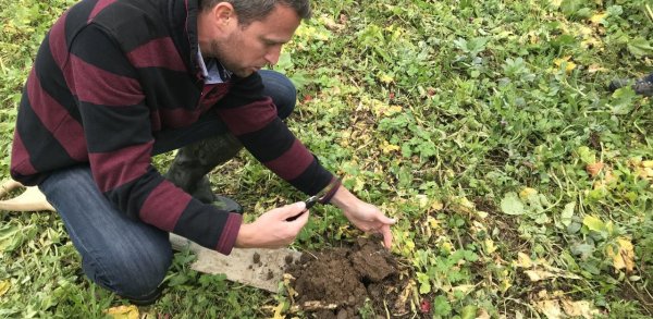 Piéger le carbone dans les sols pour réguler le climat