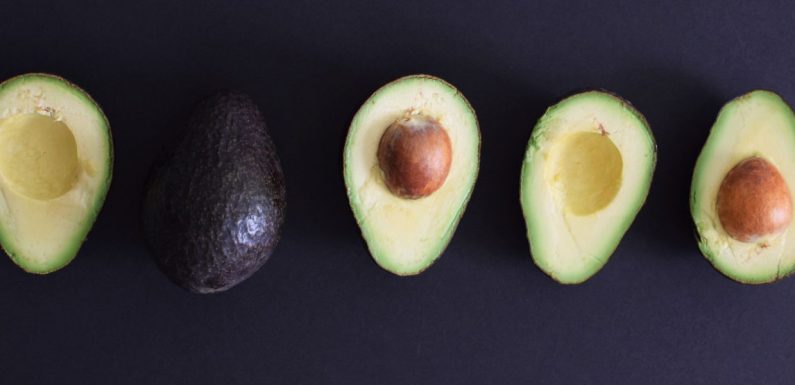 L’avocat mexicain, la nouvelle héroïne du crime organisé