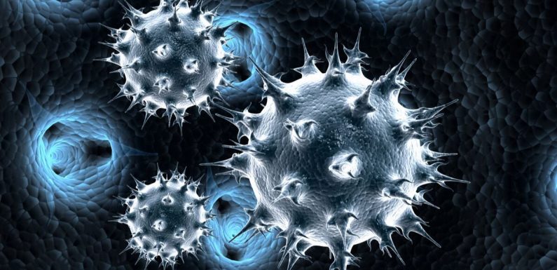 Le Japon importe 5 virus parmi les plus dangereux au monde