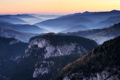 Forêts : 37 % des arbres européens sont menacés d’extinction