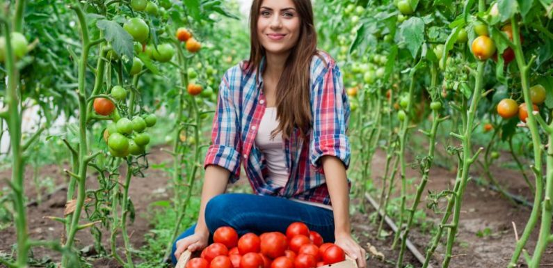 ‘Women bring bad luck to crops’: fighting stereotypes in agriculture