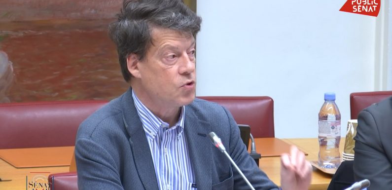 Laurent Alexandre au Sénat déplore l’échec du dédoublement des classes de CP et rappelle le rôle de la génétique dans l’échec scolaire