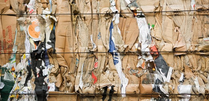 Recyclage : la filière du carton en pleine crise