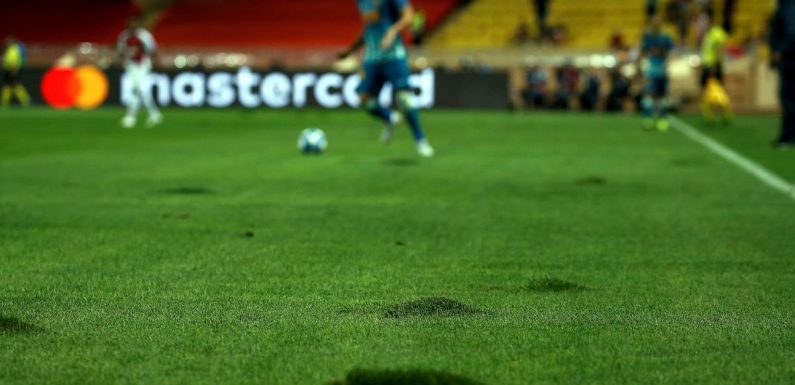 Dangereux, les fongicides pourraient être interdits sur les pelouses des stades de foot et rugby