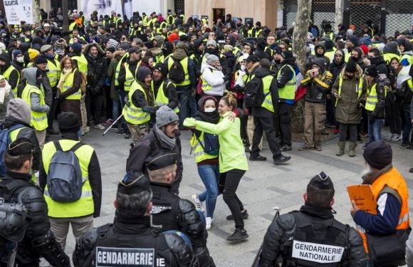 De A comme «assemblée», à Z comme «zbeul», l’abécédaire des gilets jaunes