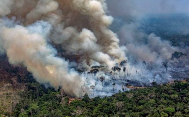 Brésil : arrestation de quatre hommes, liés à une ONG, qui auraient mis le feu à la forêt amazonienne pour pouvoir récolter des dons