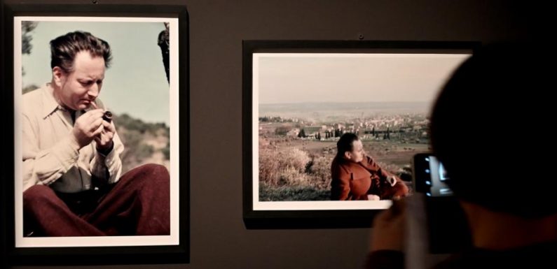 Exposition Jean Giono au MuCem : hommage à un grand écrivain hanté par la guerre et écologiste avant l’heure