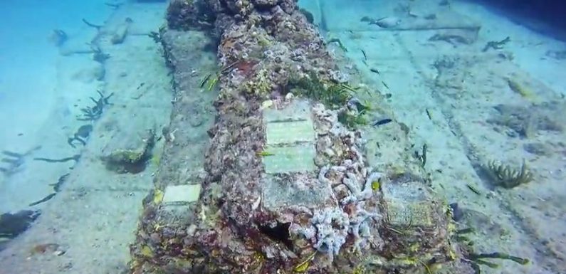 Floride : un cimetière sous-marin accueille 700 âmes