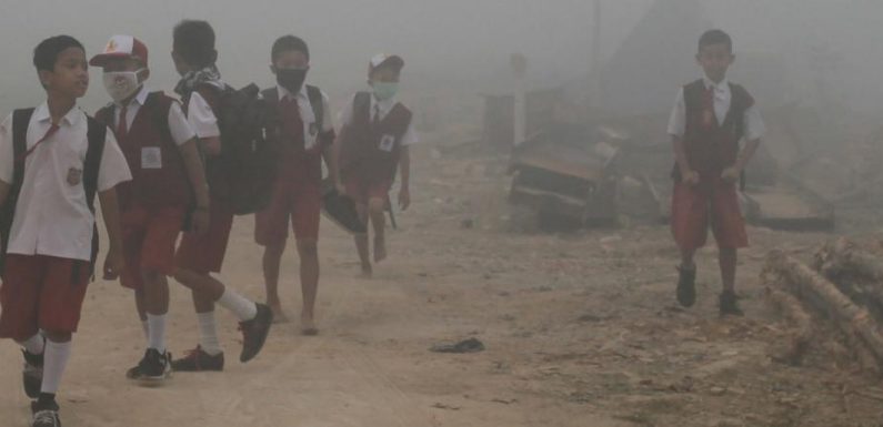 Asthme, infection, risques cardiaques… Le changement climatique aura des conséquences sur la santé de ceux qui naissent aujourd’hui