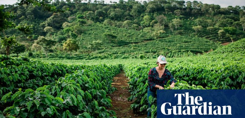 $1m a minute: the farming subsidies destroying the world – report