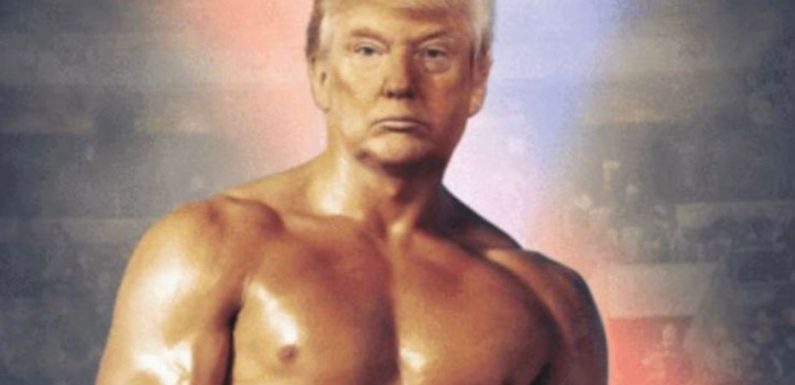 Donald Trump tweete un curieux photomontage de lui en… Rocky Balboa
