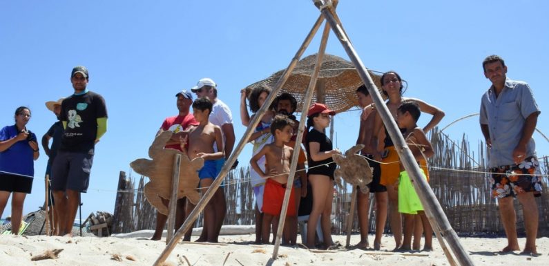 Une initiative inédite pour aider à protéger les tortues en Tunisie