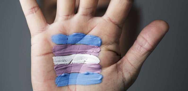 « Nous sommes transgenres et nous voulons juste vivre en paix »