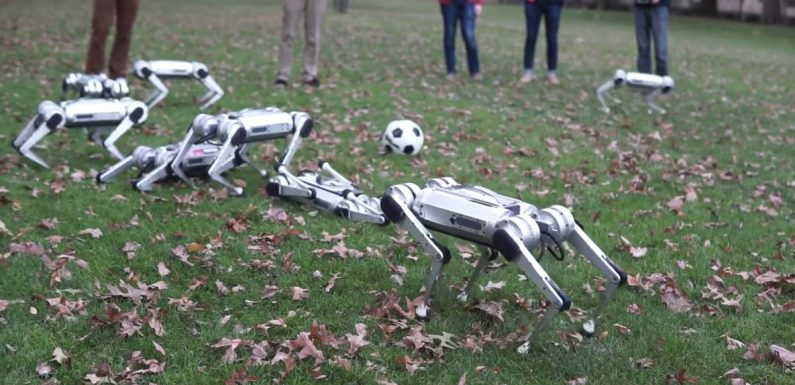 MIT made an army of tiny, ‘virtually indestructible’ cheetah robots that can backflip and even play with a soccer ball — see them in action in this new video
