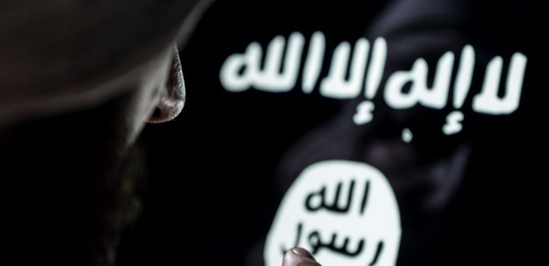 « Le califat ressemblait un peu à un bordel géant »: des femmes de l’EI révèlent au grand jour certaines pratiques des djihadistes