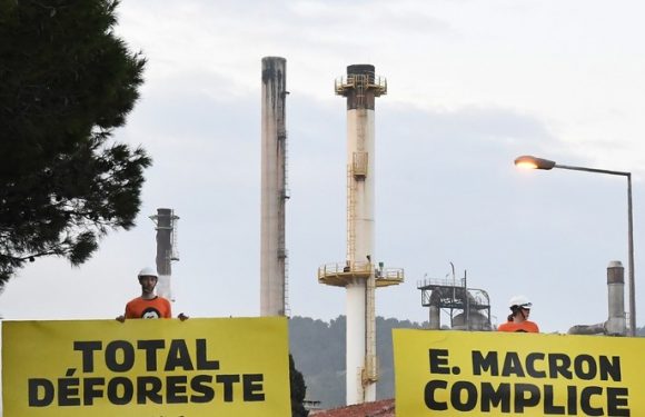 Réintroduction de l’avantage fiscal pour l’huile de palme : le lobbying de Total dénoncé