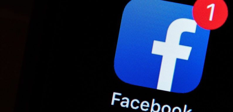 Si Facebook avait existé en 1930, Hitler aurait « pu y diffuser des publicités antisémites »
