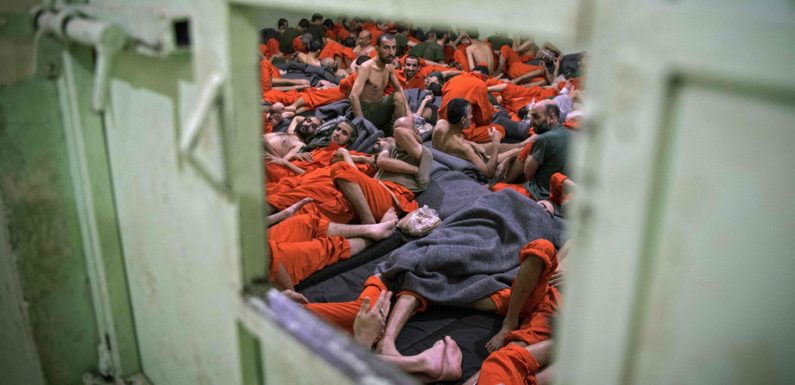 Allemagne: neuf membres de l’EI bientôt de retour et laissés libres
