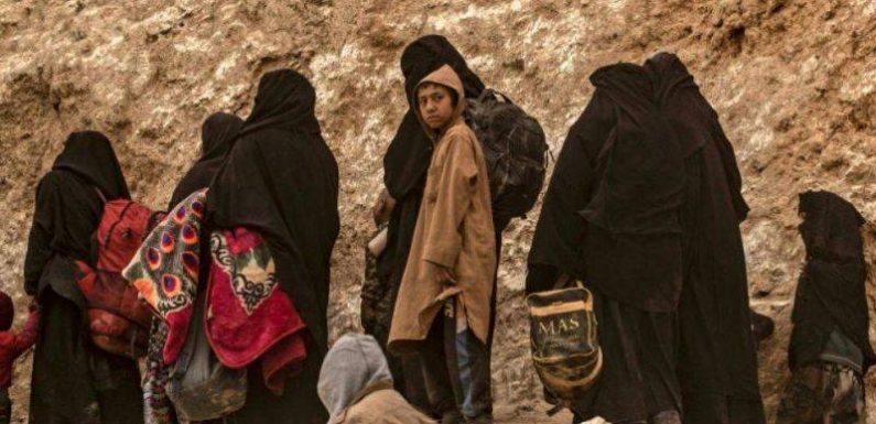Syrie : des femmes de jihadistes présumés disent vouloir rentrer en France