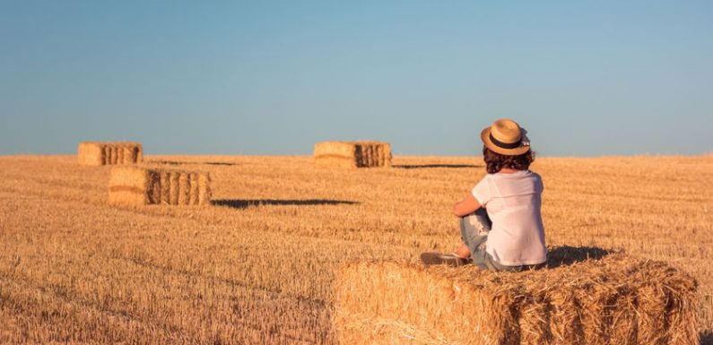 André Breton : « C’est l’attente qui est magnifique »