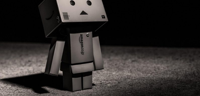 Stop Amazon : un Black Friday vraiment noir s’annonce