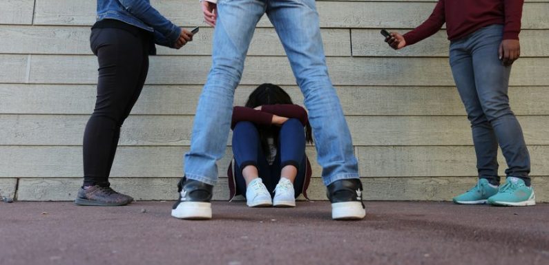 « Certains arrivent complètement détruits » : une enseignante témoigne sur le harcèlement scolaire
