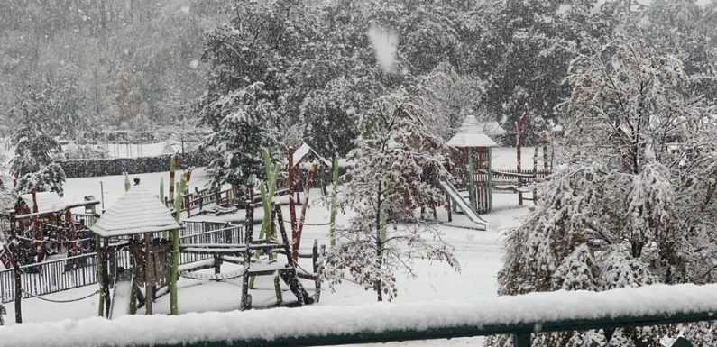 Neige : du jamais-vu pour une mi-novembre depuis 20 ans dans la Drôme
